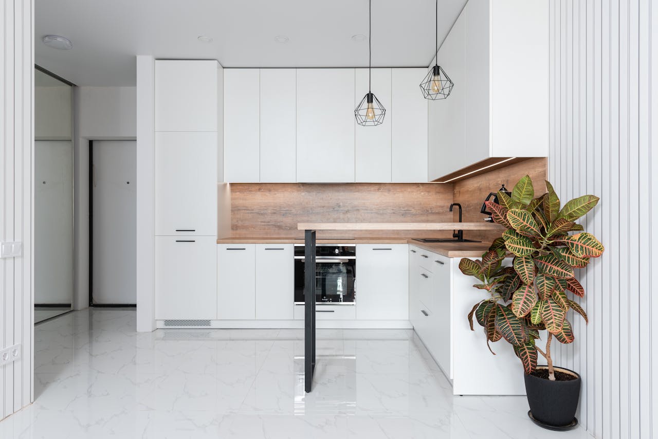 service-03 Potted Codiaeum variegatum plant decorating spacious light kitchen with minimalist white furniture and modern appliances at home
